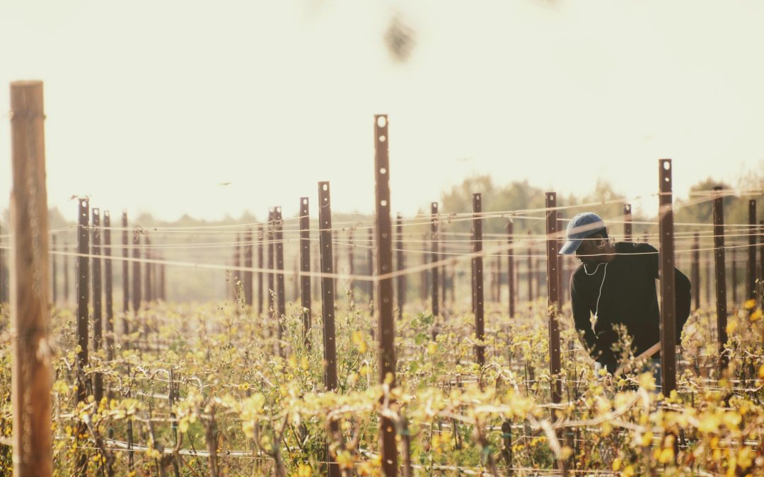 Finding the Right Framework