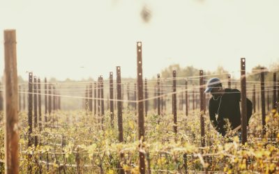 Finding the Right Framework